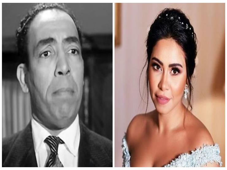 هل ينقذ إسماعيل ياسين العروس من حكم “البلهارسيا”؟ جلسة جديدة لشيرين والمحامي بحوزته دليل يبرِّئها
