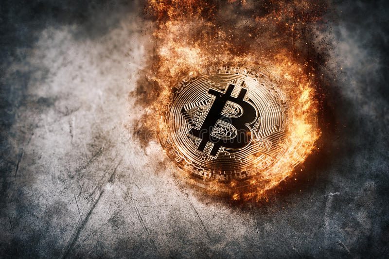 حتى بعد اغتيالهم بن لادن لم يشعروا بالأمن.. قاتل زعيم القاعدة: لم نتوقع أن نخرج من العملية على قيد الحياة