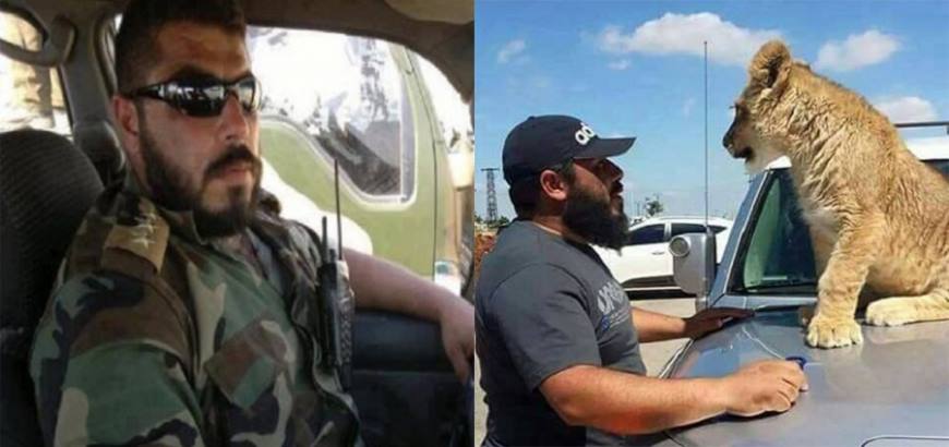 قدم فرساً وجبة طعام لاثنين من أسوده واستمتع بالمشهد!.. فيديو لقائد ميليشيا موالٍ للأسد يثير الصدمة