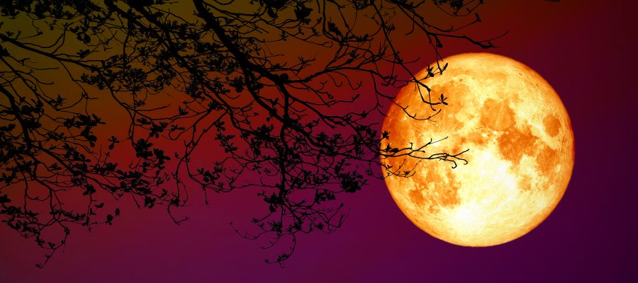 العالم يترقَّب أطول “خسوفٍ دموي” في القرن – سكّان الإمارات سيحصلون على أفضل رؤيا، وإليكَ مواعيد حصوله حول العالم!