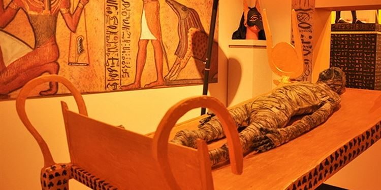 كيف فعلها الفراعنة وأبهروا العالم؟.. الكشف عن الوصفة السحرية التي استخدموها لتحنيط جثامين موتاهم