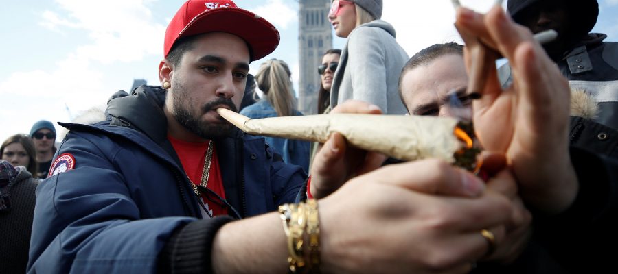 مع اقتراب بدء بيعه قانونياً في الأسواق.. مطلوب 5 متذوقين للحشيش في كندا والمرتب مغرٍ للغاية!