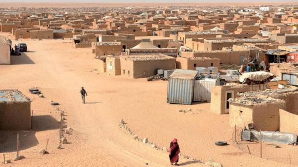 شبكات إجرامية وتلاعب بالأسعار.. «العقار والسكن» الثروة المستباحة في الصحراء الغربية