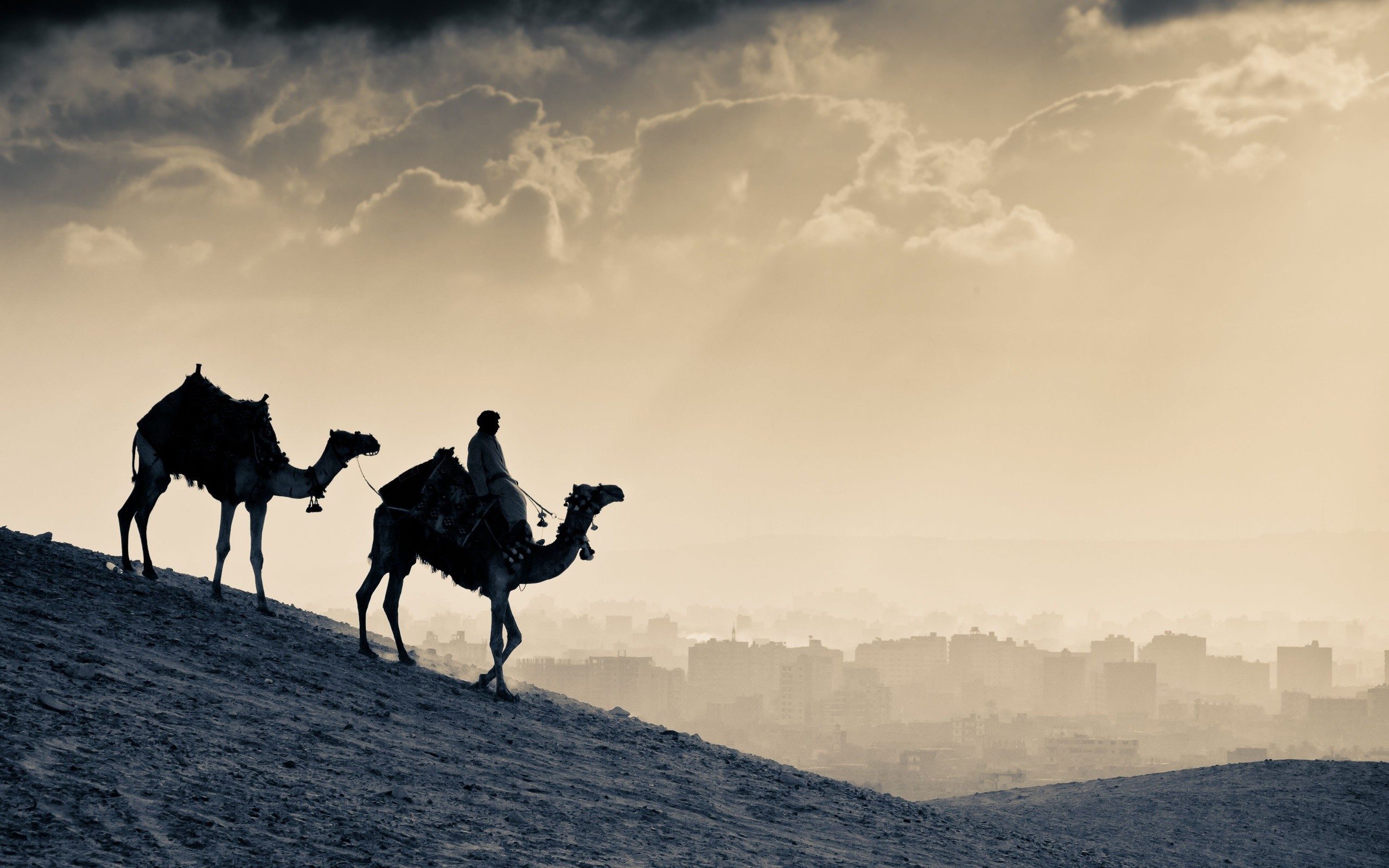 «هجرة الحبيب».. الصبر والأمل