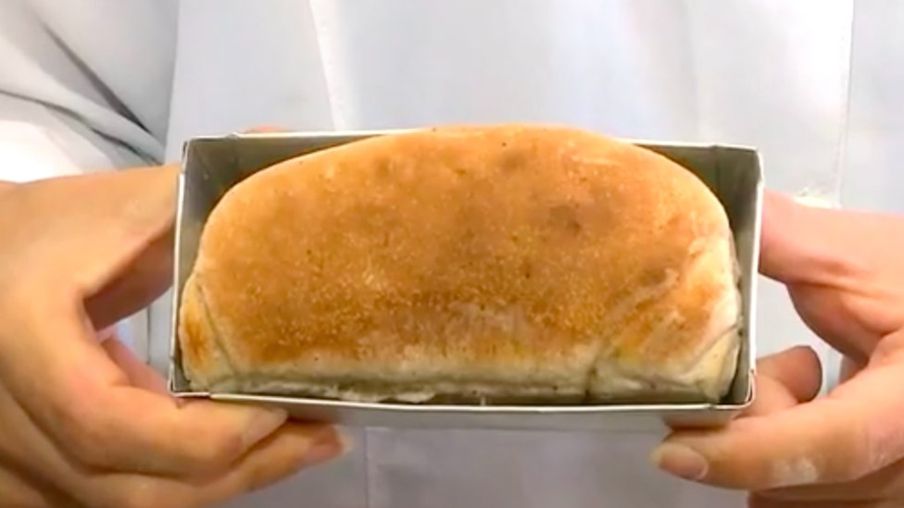 خبز مصنوع من الصراصير