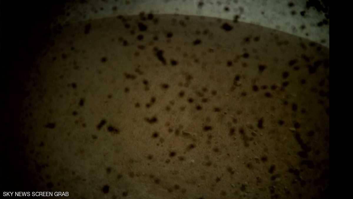 أول صورة يرسلها مسبار InSight من المريخ