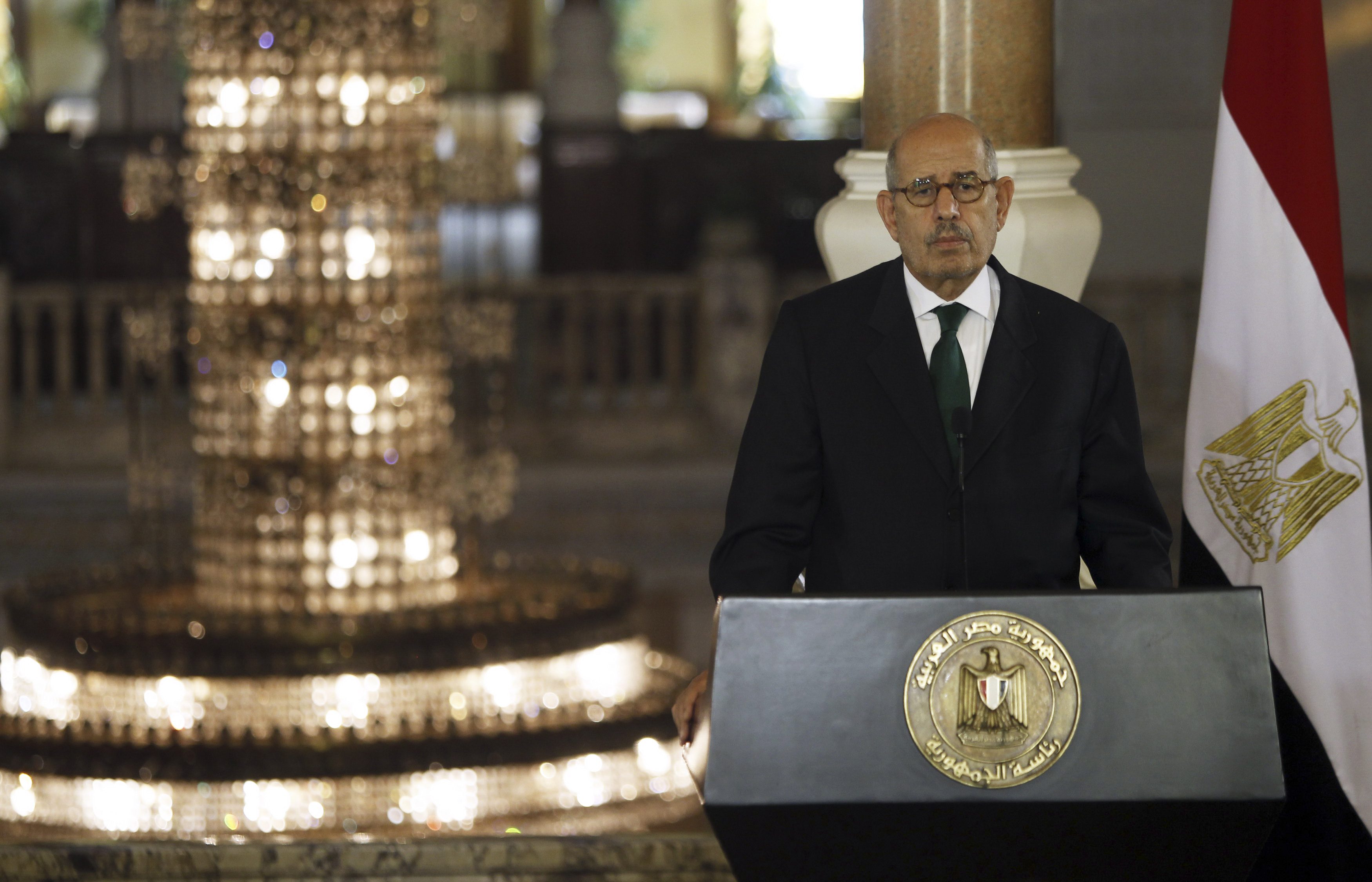 البرادعي: طلبت تجديد جواز سفري المصري ولم أتلقَّ رداً