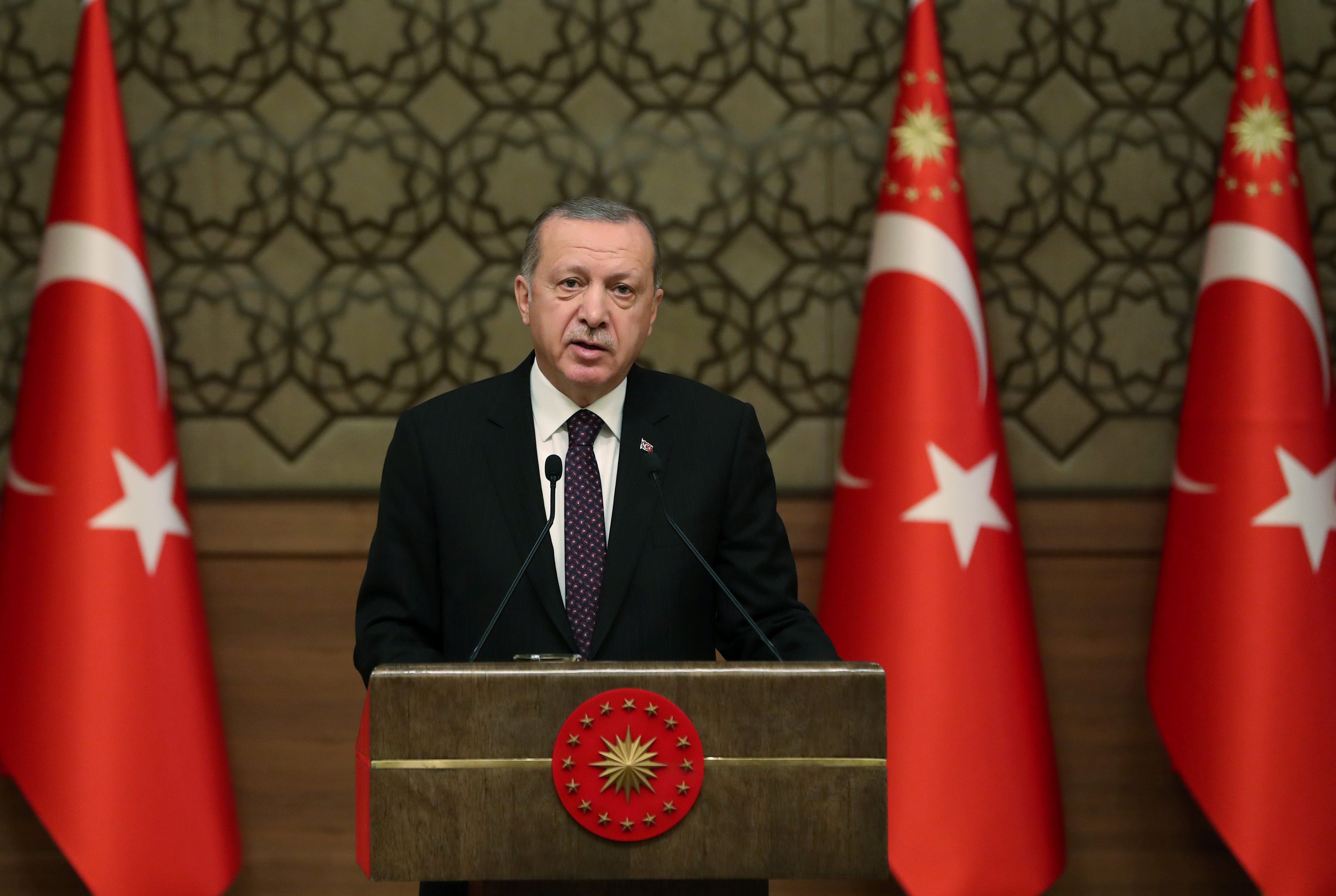 أردوغان يعلن إنشاء منطقة أمنية نية مع الحدود السورية