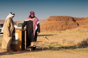 محمية شرعان الطبيعية