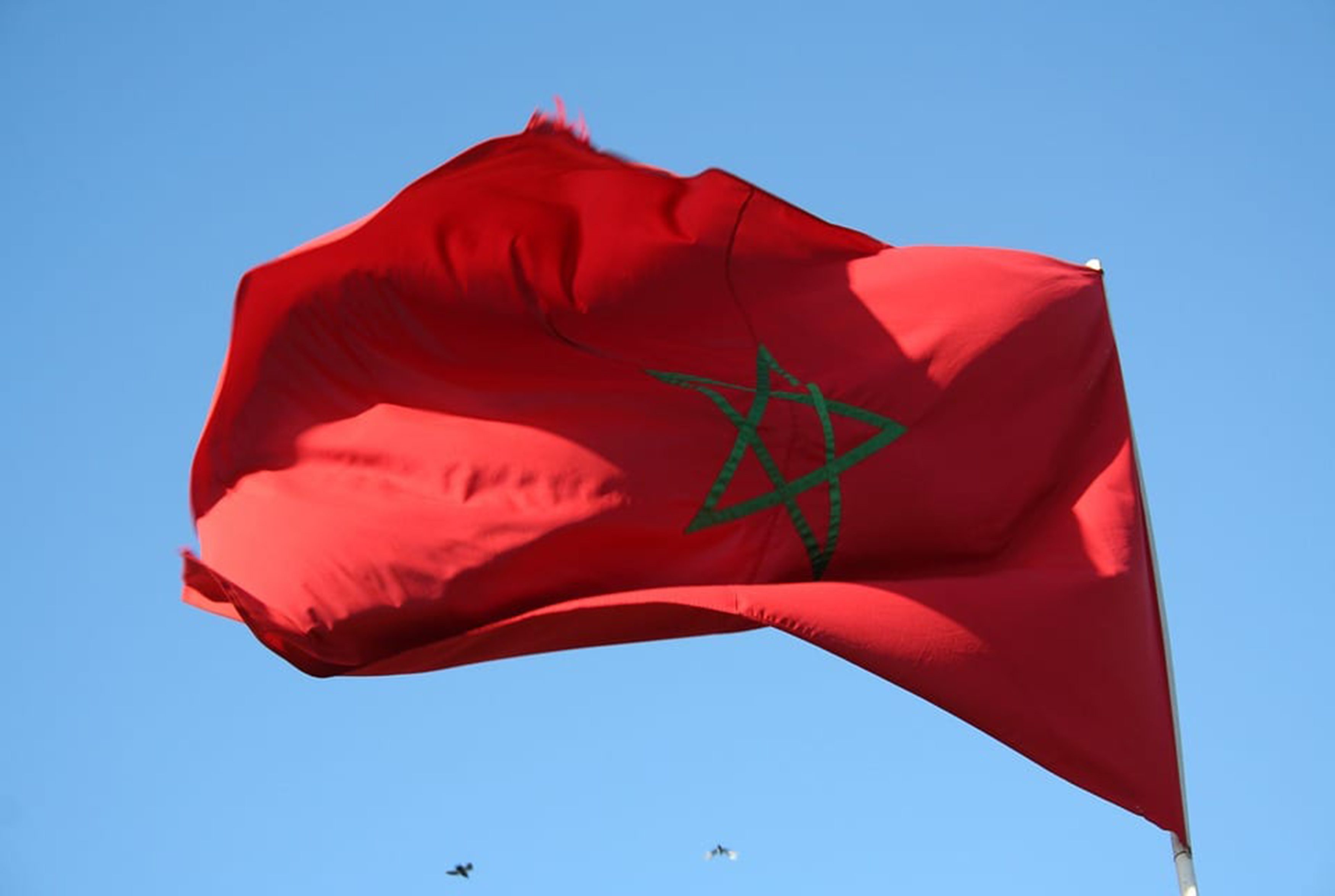 ثروات نفطية مخبأة.. فوربس: قطاع الطاقة المغربي يشهد تحولاً هائلاً سيجلب فرصاً استثمارية ضخمة