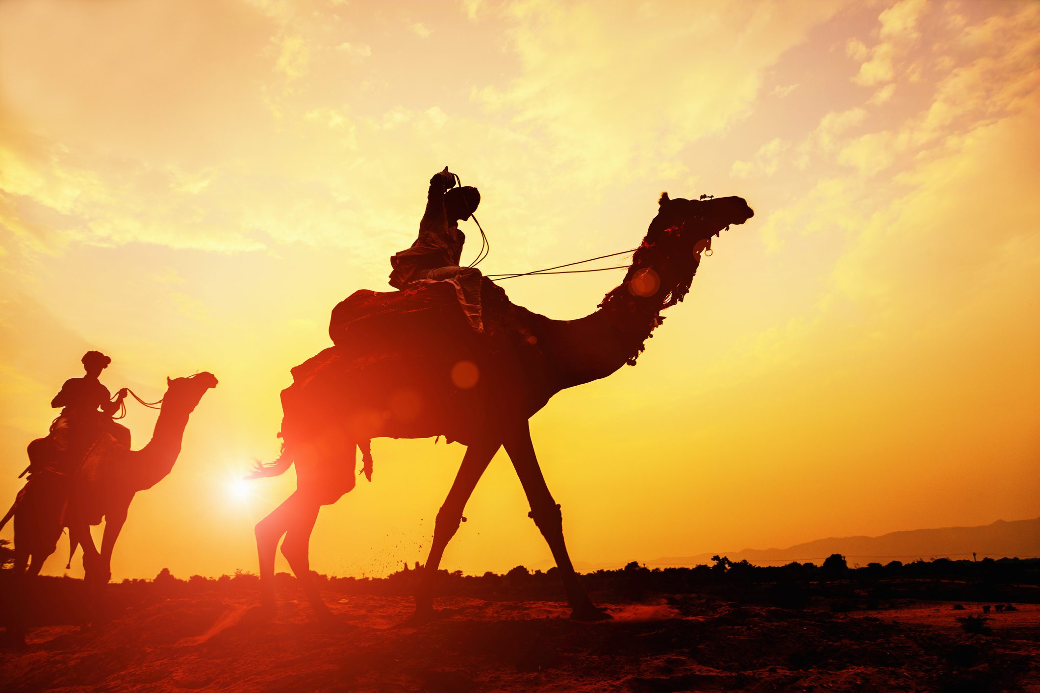 من معالم القاهرة إلى محمية رأس محمد والامتزاج مع الطبيعة في واحة سيوة.. دليلك لأفضل وِجهات رحلات الشتاء في مصر