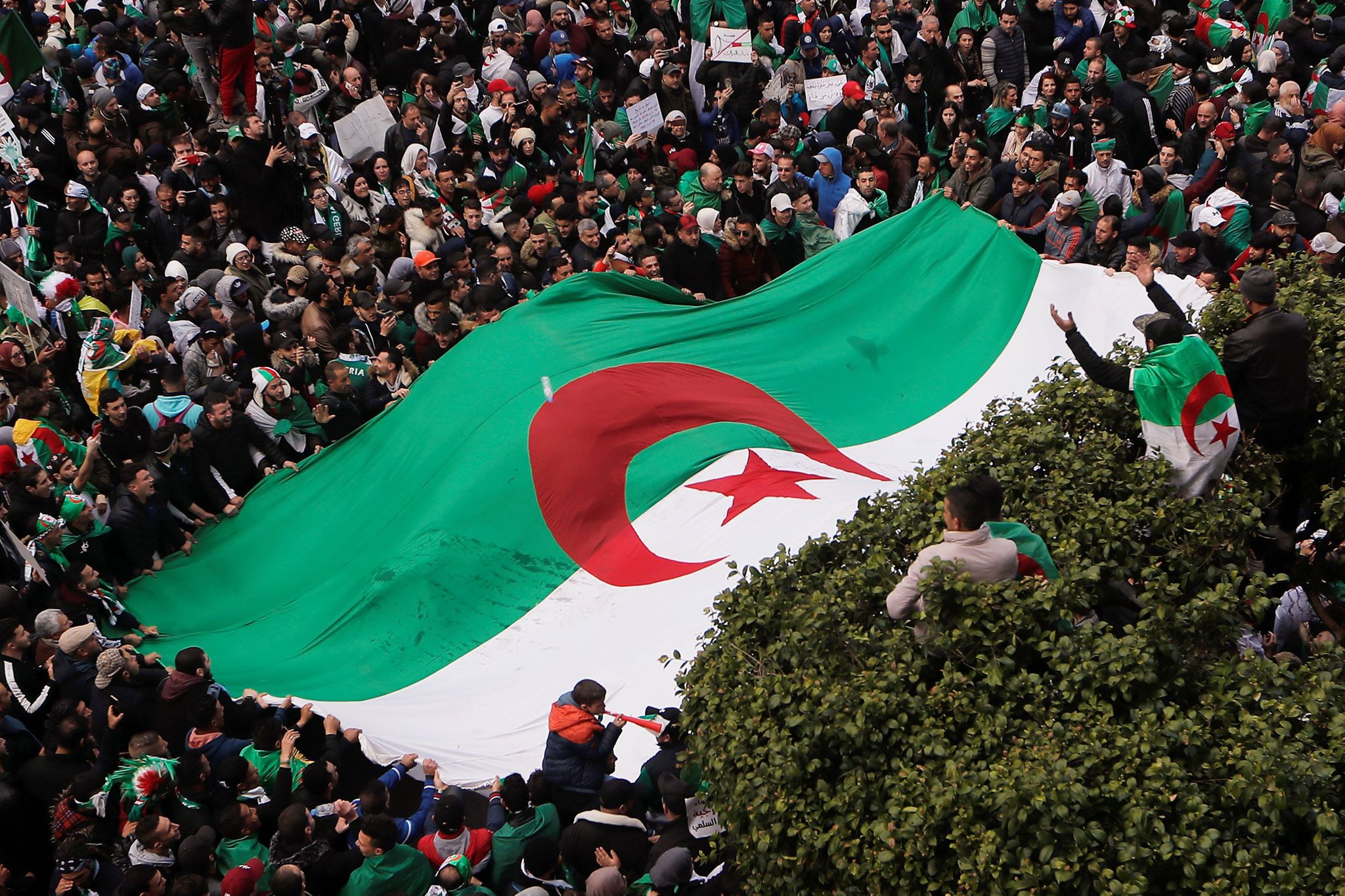 المظاهرات في الجزائر