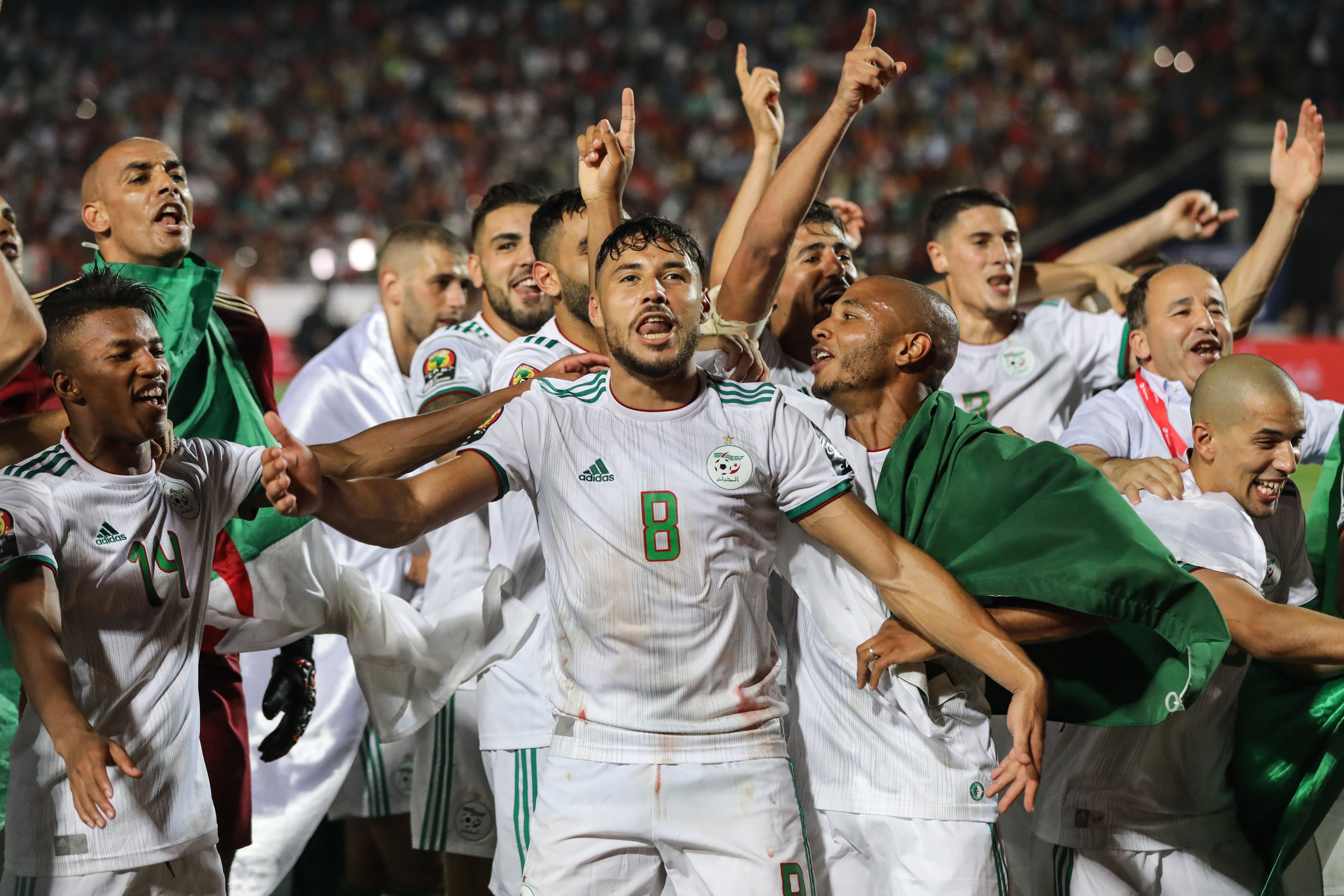 بلماضي يسير على نهج كرمالي.. الجزائر تواصل تفوقها على السنغال في المواجهات المباشرة