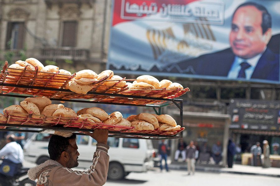المواد الغذائية في مصر