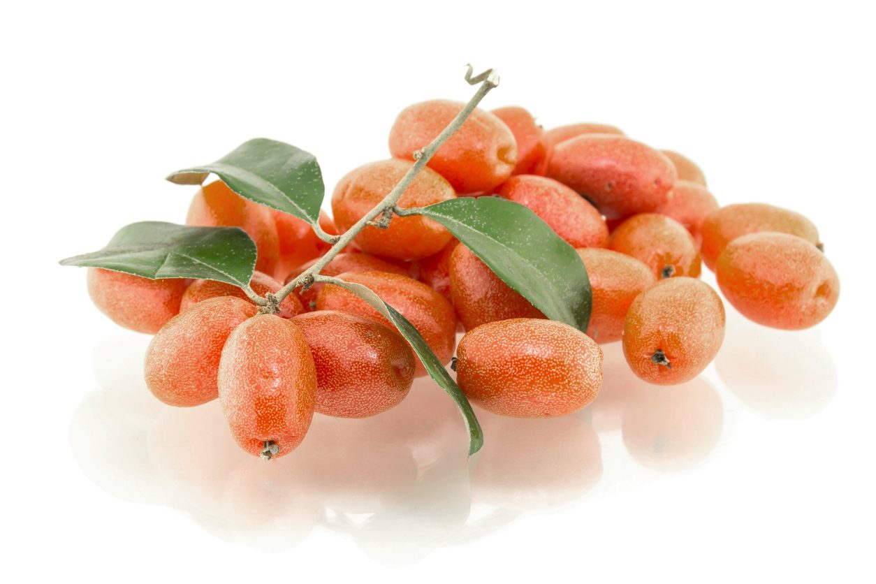 حب الملوك