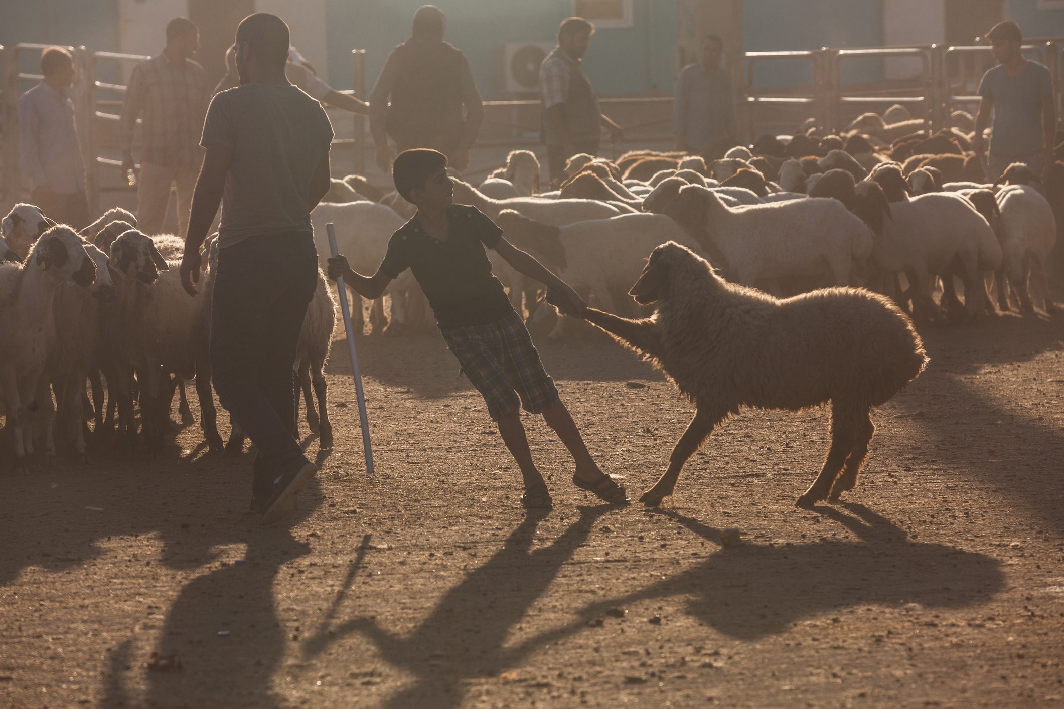 عيد الأضحى