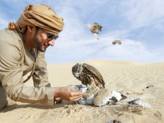 نشر أسماء الأثرياء والمشائخ العرب الذين سيسمح لهم بـ صيد الطيور في كازاخستان بعد منع دام سنوات