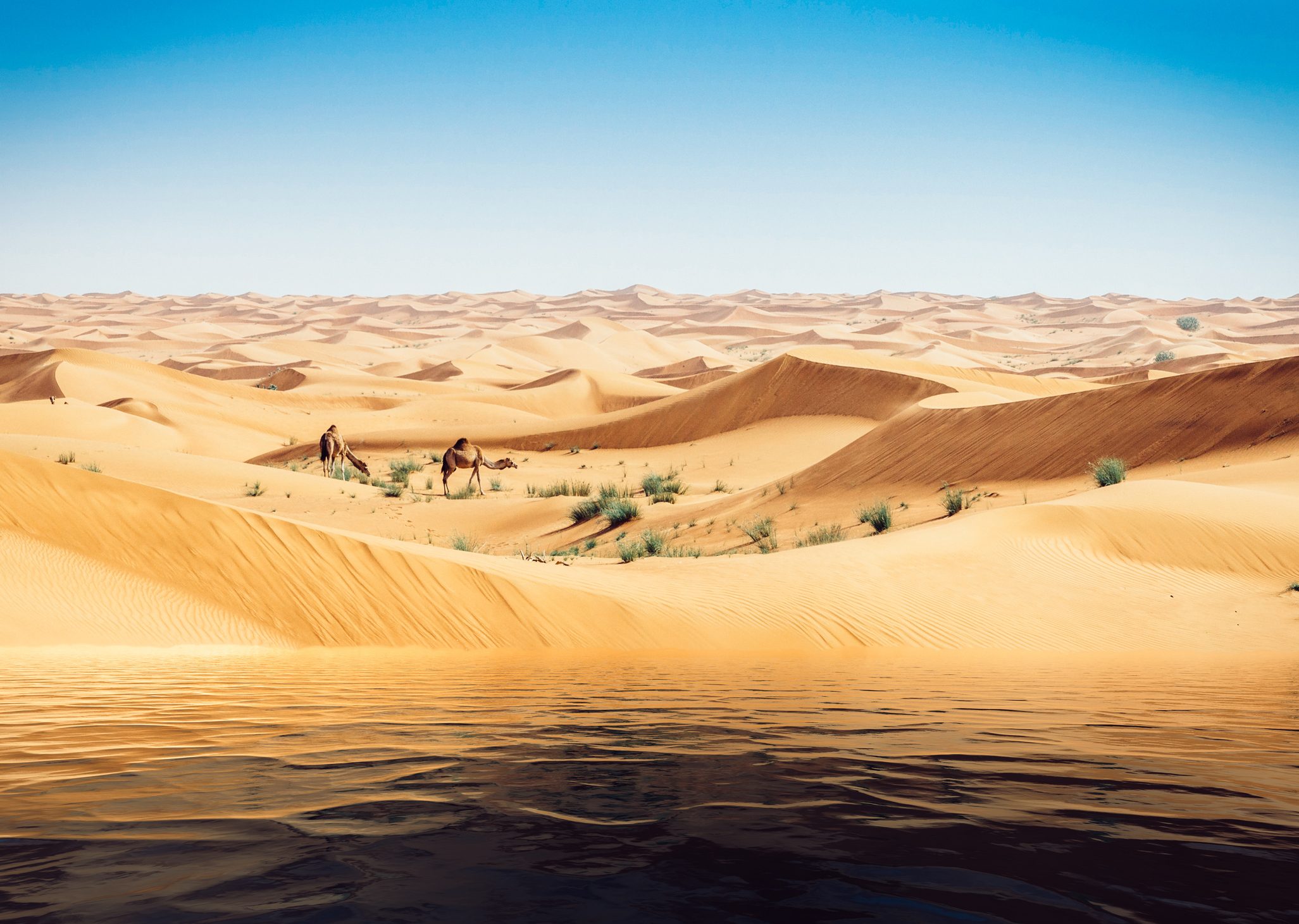 لماذا نرى المياه المزيفة على الطرق في الأيام الحارة المشمسة؟ هكذا تعمل ظاهرة «السراب»