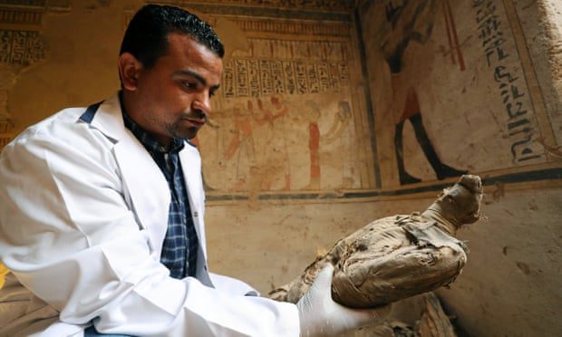 من أين أتت ملايين الطيور المحنَّطة في مصر القديمة؟ كشف غموض مومياوات «أبو قردان» المقدَّس