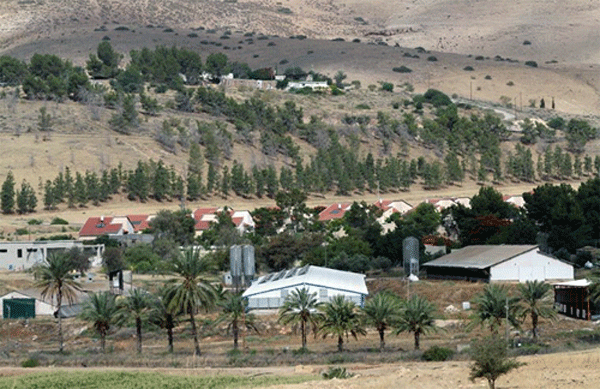 أخصب أراضي فلسطين وسلّة غذائها.. ما هو غور الأردن الذي ستضمه إسرائيل إليها بوعد من ترامب؟