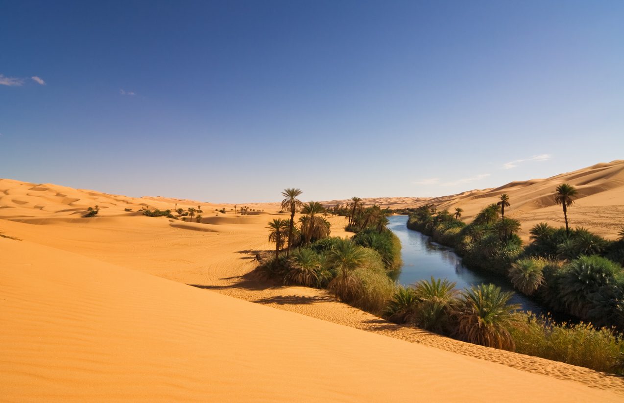 الصحراء الكبرى