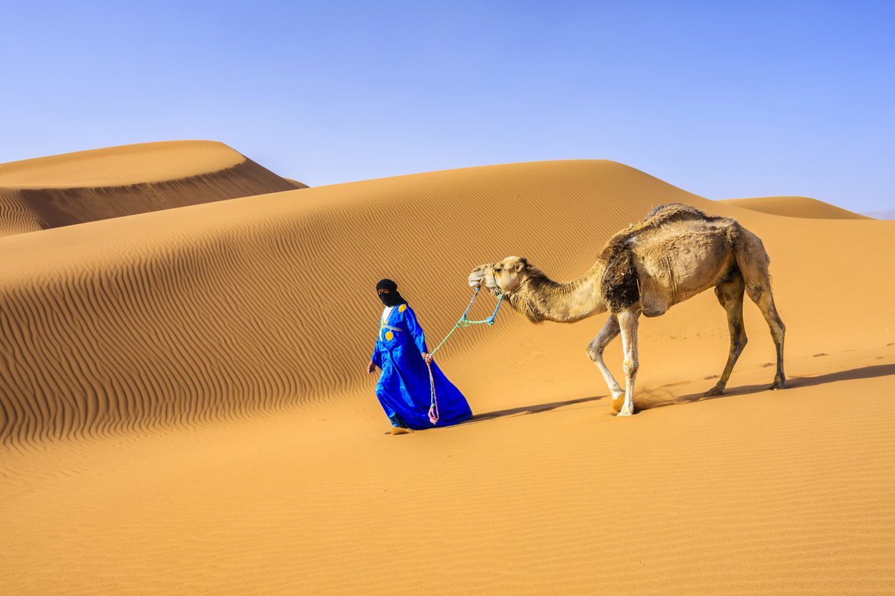 الصحراء الكبرى
