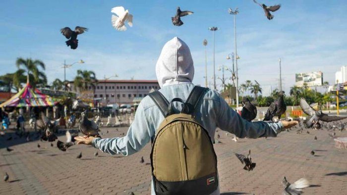 برنامج “قلبي اطمأن”.. القصة الكاملة لبابا نويل العرب