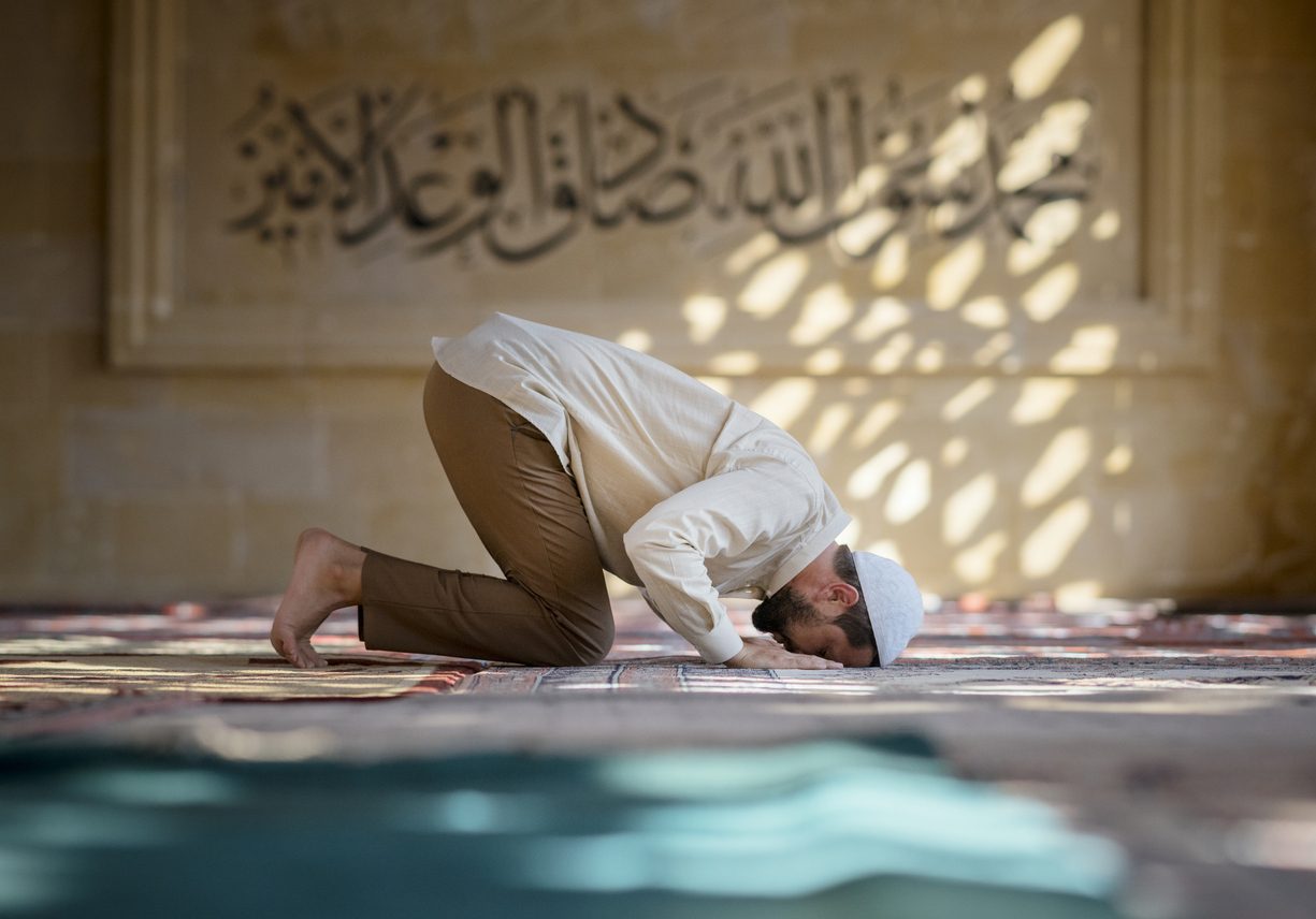 توصيات منظمة الصحة العالمية
