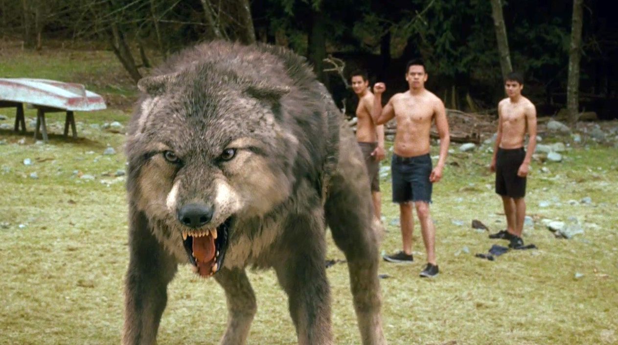 ما حقيقة وحش جيفودان? صورة تعبيريّة من فيلم Twilight