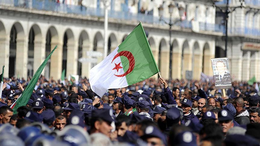 تشوّه الدين وتزرع نخباً فاسدة.. كيف تقود فرنسا حرباً فكرية على الجزائر؟