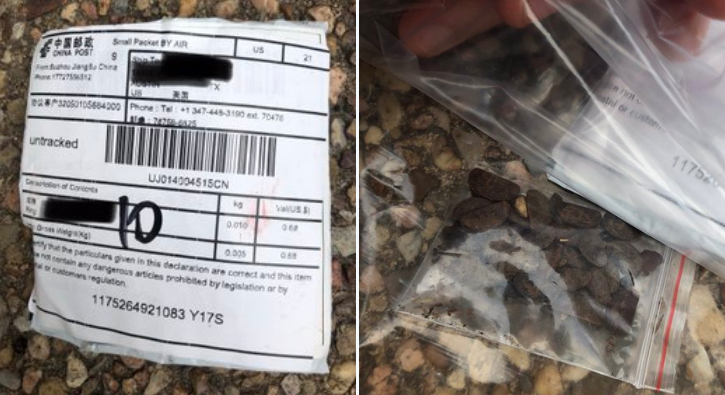 طرود صينية مجهولة تُرسل للأمريكيين.. تحوي بذوراً غامضة، وولاية أمريكية تصدر بياناً تحذيرياً للسكان