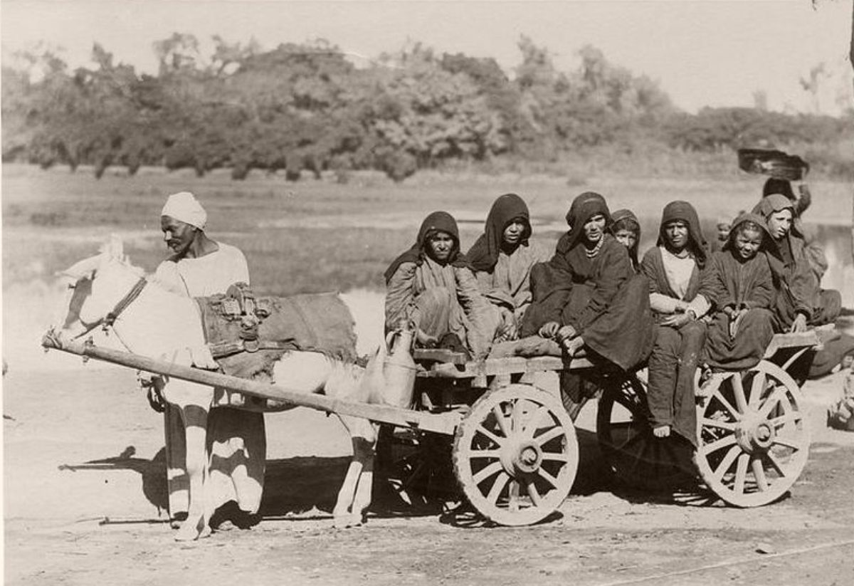 رواية “الوسية”.. ماذا كان يحدث للفلاحين في مصر أيام الحكم الملكي؟