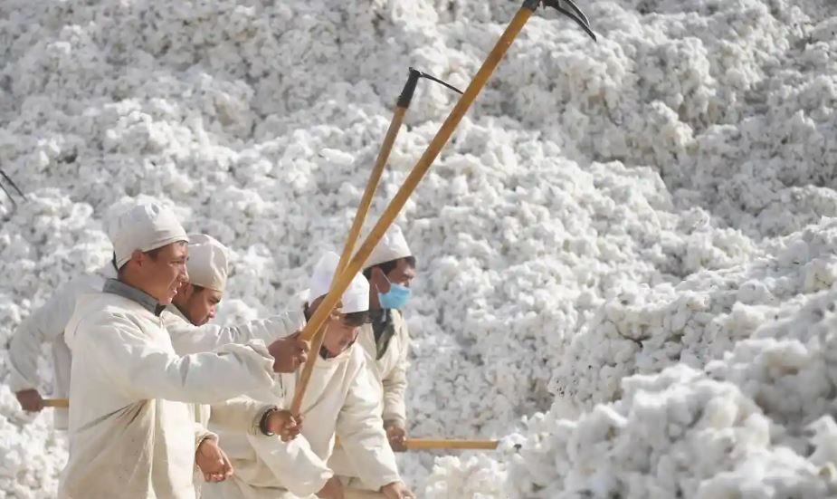 “كلهم متواطئون” ضد المسلمين الإيغور.. 180 منظمة تتهم علامات تجارية عالمية بالتورط مع الصين في عمالة “السخرة”