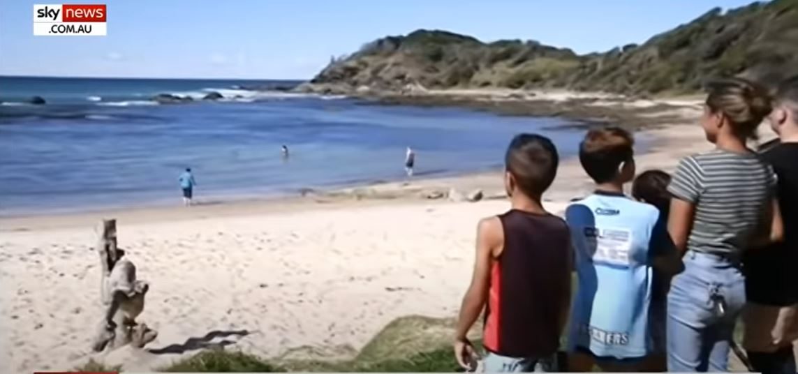 رجل ينقذ زوجته بطريقة بطولية.. قفز نحو قرش أبيض كبير ووجه له لكمات حتى استسلم وترك ساقها