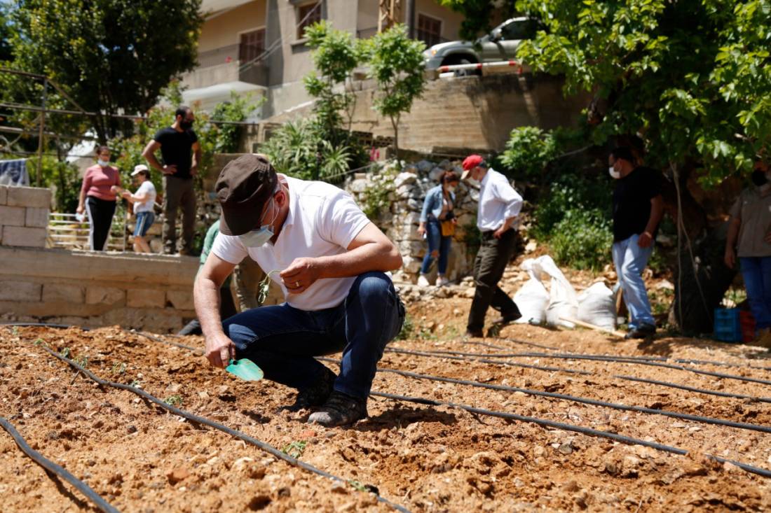 “الجهاد الزراعي”: هل ينجح اللبنانيون في إطعام أنفسهم عبر الطماطم التي يجنونها من الشرفات؟
