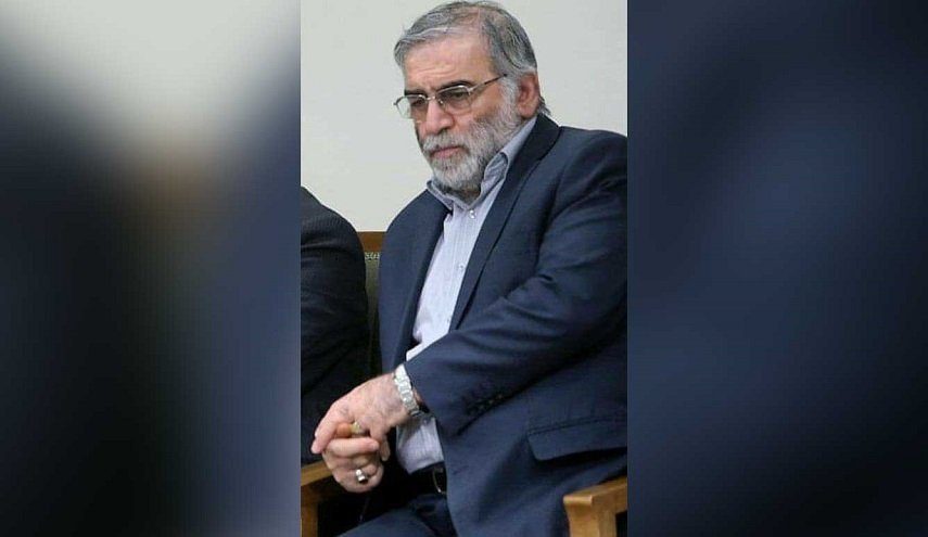 محسن فخري زاده