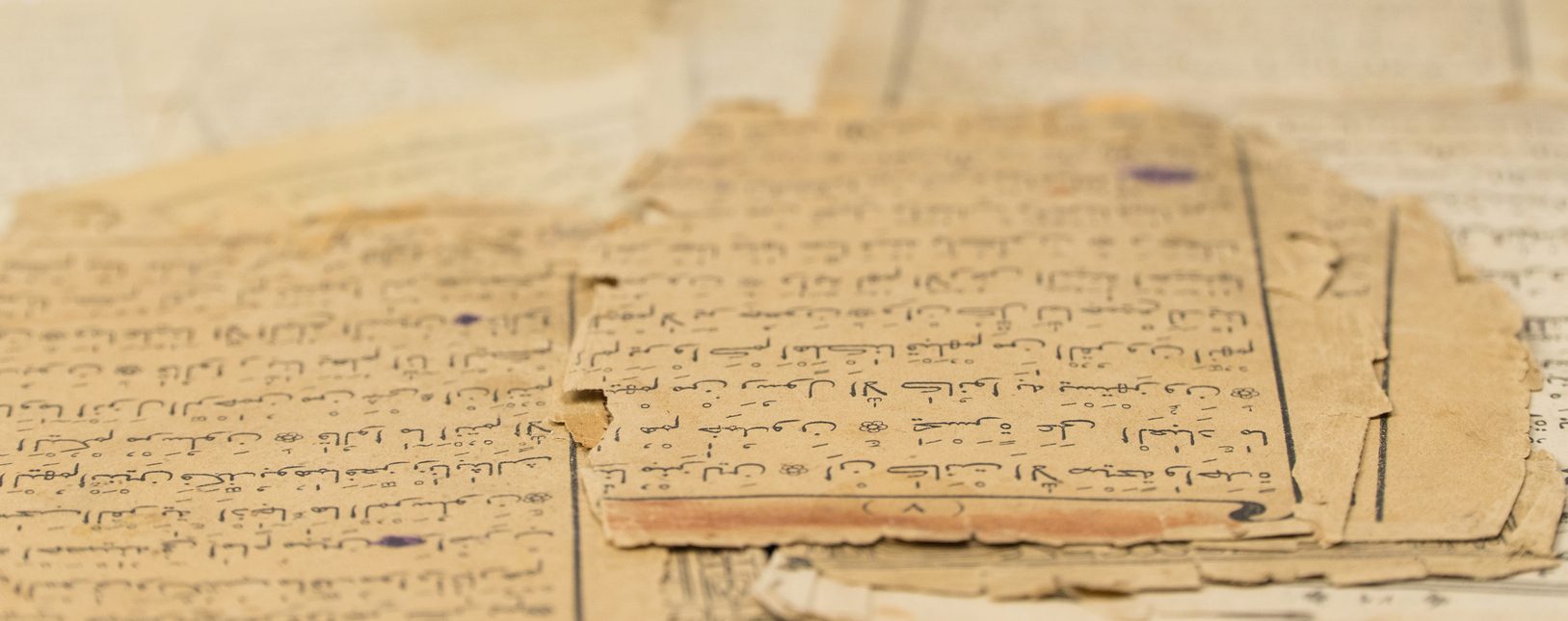 لماذا لا يحب الماميز اللغة العربية؟