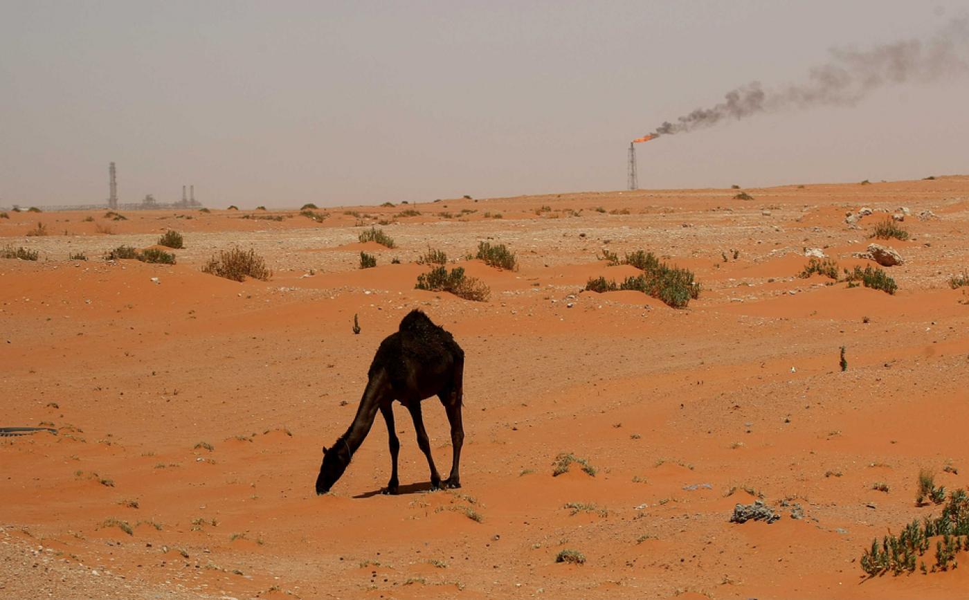 “مبادرة السعودية الخضراء”.. إعلان جادّ للتصدي لأزمة المناخ أم جزء من خطة تلميع صورة المملكة؟