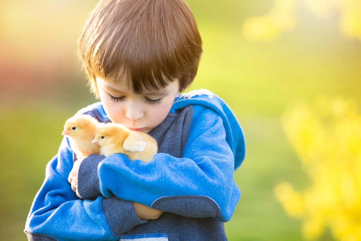 تعذيب الأطفال للحيوانات