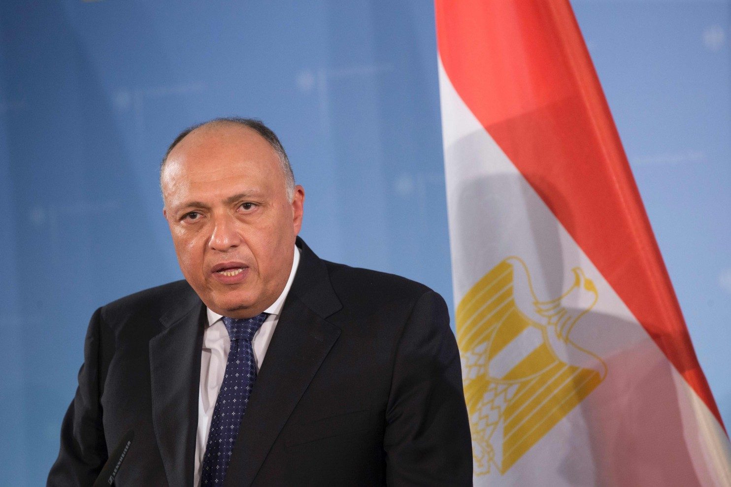 وزير الخارجية المصري، سامح شكري