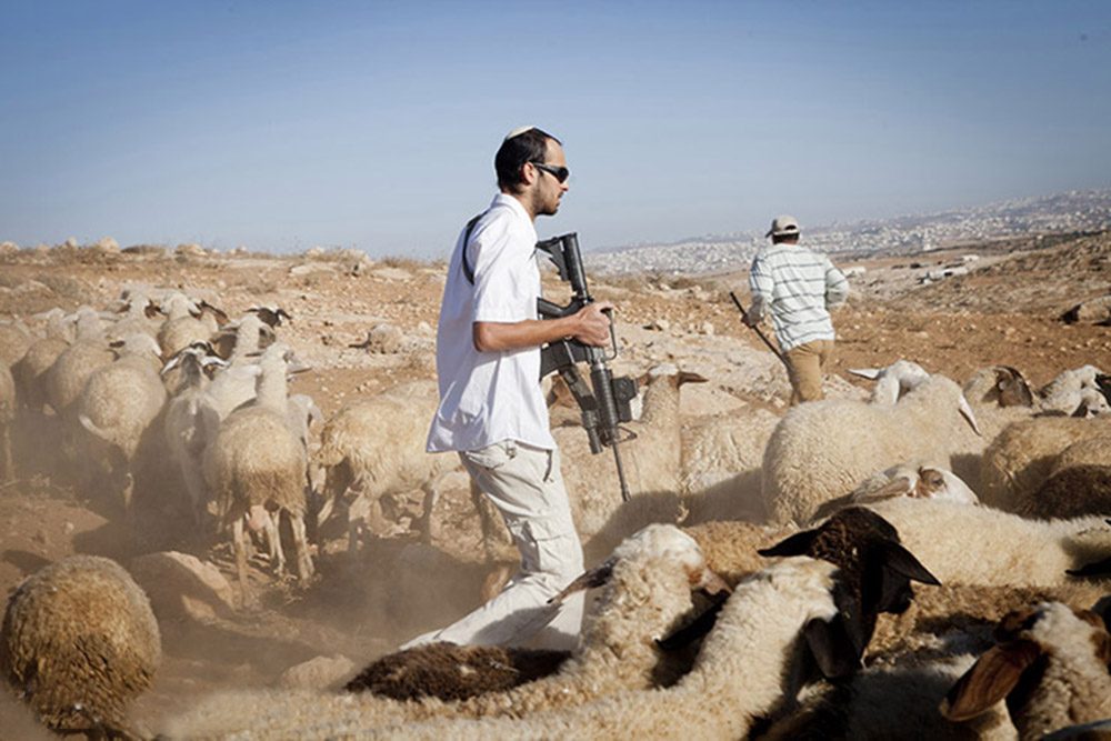 حوّل مزارع الفلسطينيين لخراب.. “الاستيطان الرعوي” وجه جديد للاحتلال الإسرائيلي بالضفة الغربية، فما هو؟