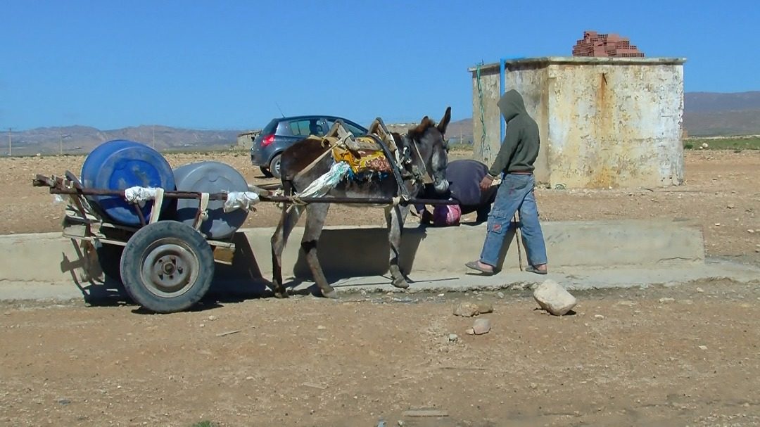 أزمة المياه في الجزائر