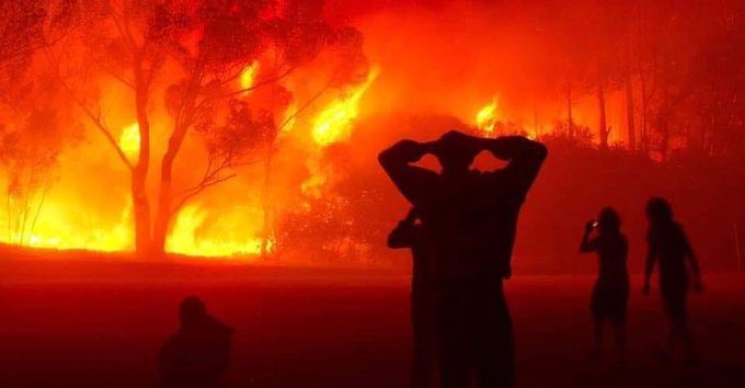 حرائق مرعبة تلتهم غابات تيزي وزو في الجزائر والآلاف يضطرون لإخلاء منازلهم هرباً من النيران (فيديو)