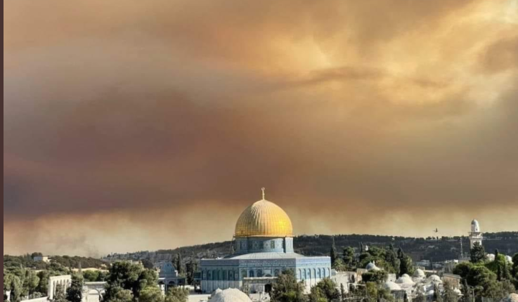 حرائق مهولة على أطراف القدس.. إسرائيل فشلت في السيطرة عليها وتطلب المساعدة الدولية (فيديو)