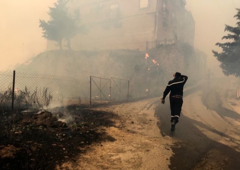 حرائق الغابات في الجزائر
