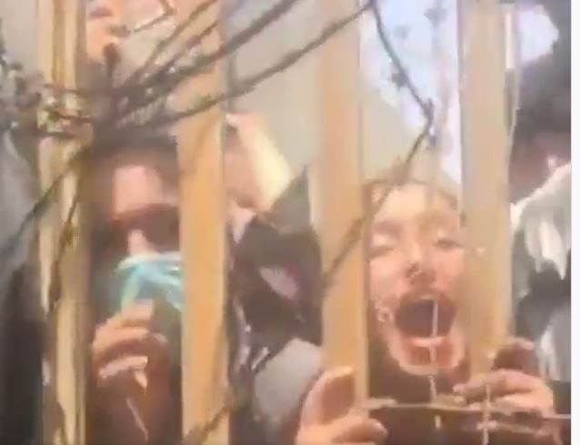 “ساعِدوني وعائلتي، طالبان قادمة”.. فيديو لأفغانية تستنجد منهارةً بجندي أمريكي لإجلائها من كابول