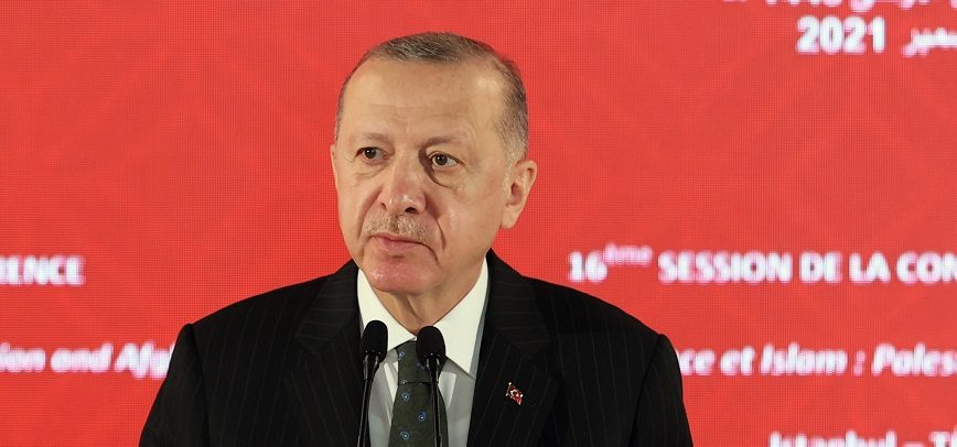 الرئيس التركي رجب طيب أردوغان/ الأناضول