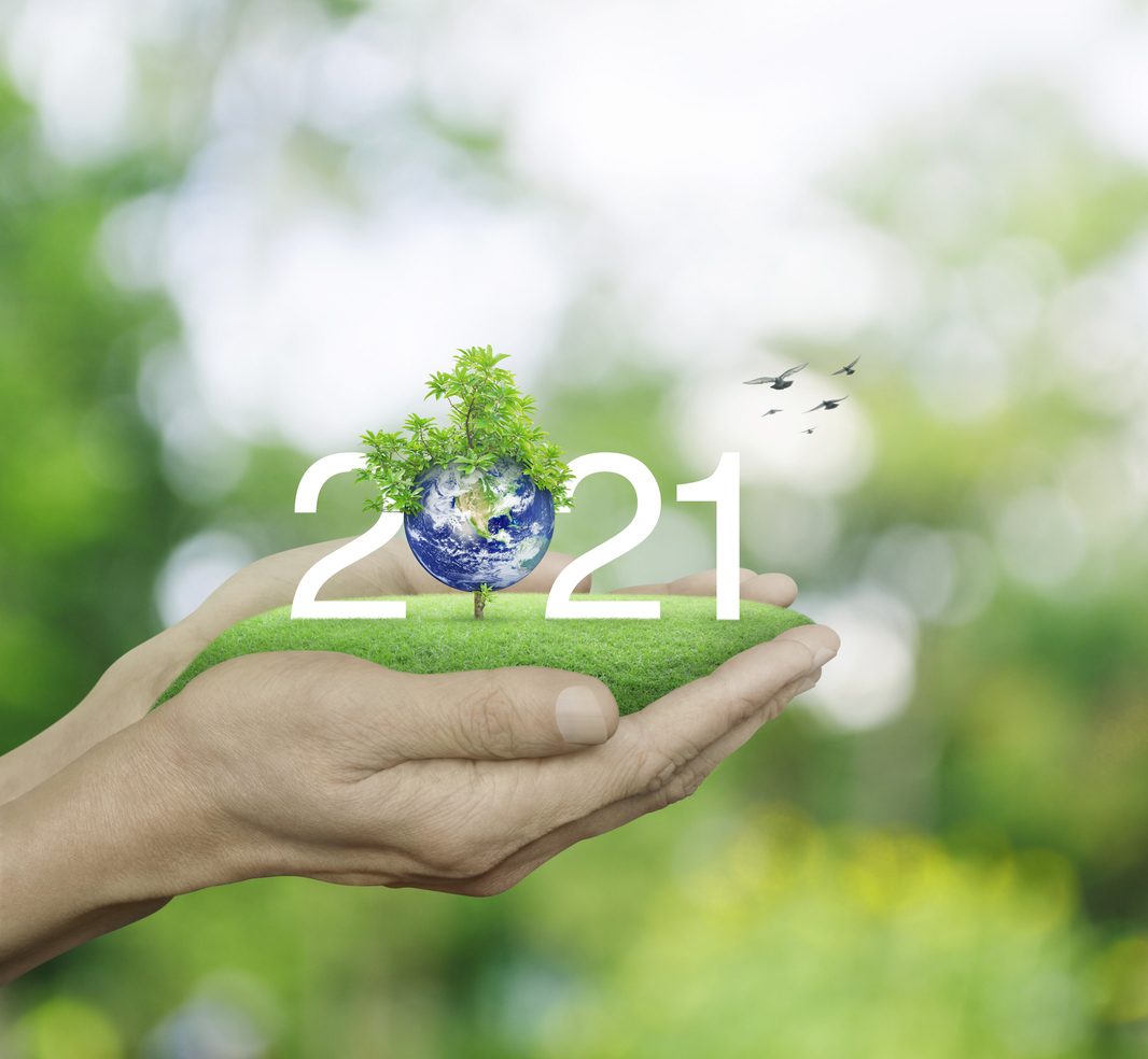 iStock/ أشياء إيجابية حدثت في عام 2021
