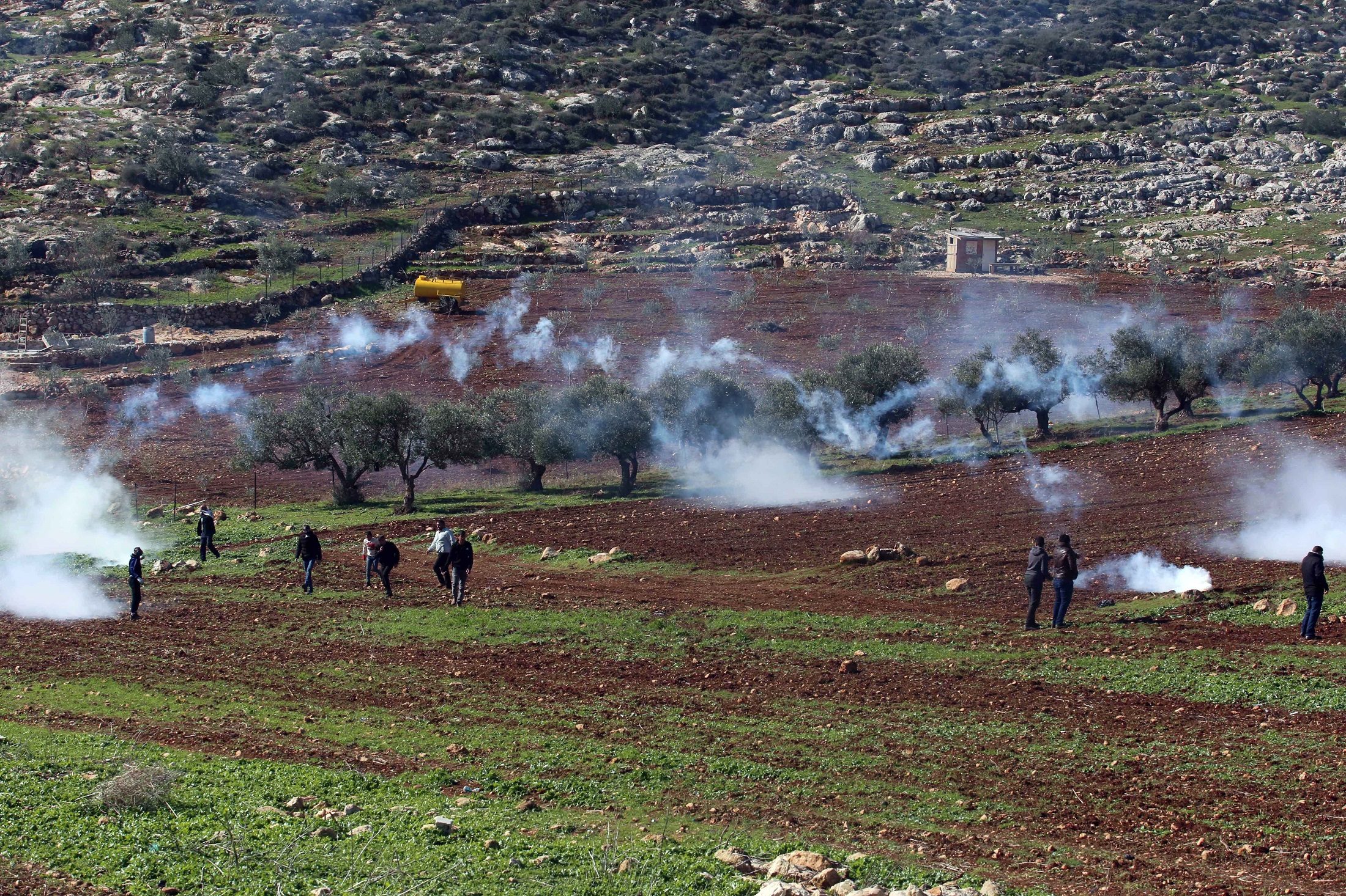 مستوطنون إسرائيليون يستولون على أرض عائلة فلسطينية بحي الشيخ جراح.. شرطة الاحتلال اعتدت على الأهالي