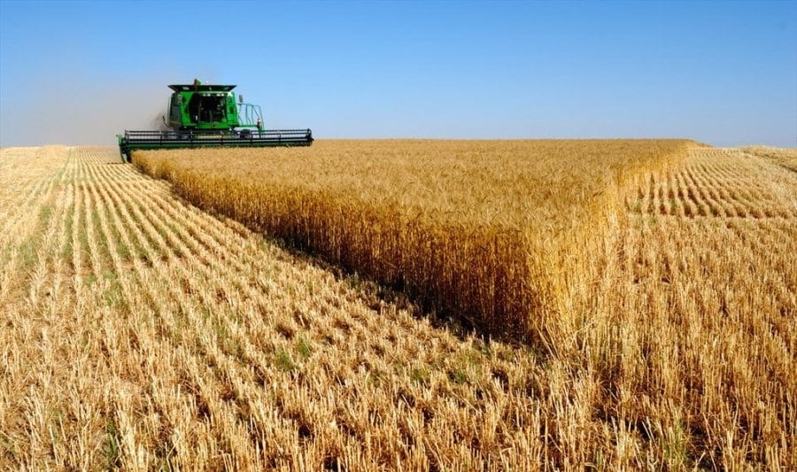 النفط والقمح والسياحة.. كيف ستتأثر مصر بالهجوم على أوكرانيا وما خياراتها؟